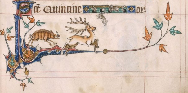 another boring hunt scene