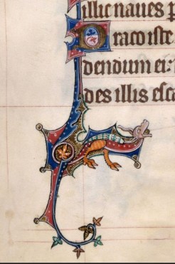 gorleson d is for dragon