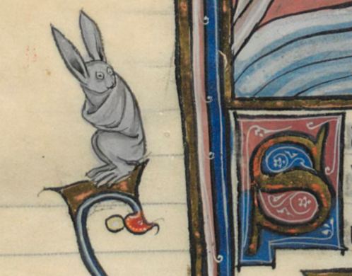 138v romans arthurien 138v S is for scared as in scared rabbit